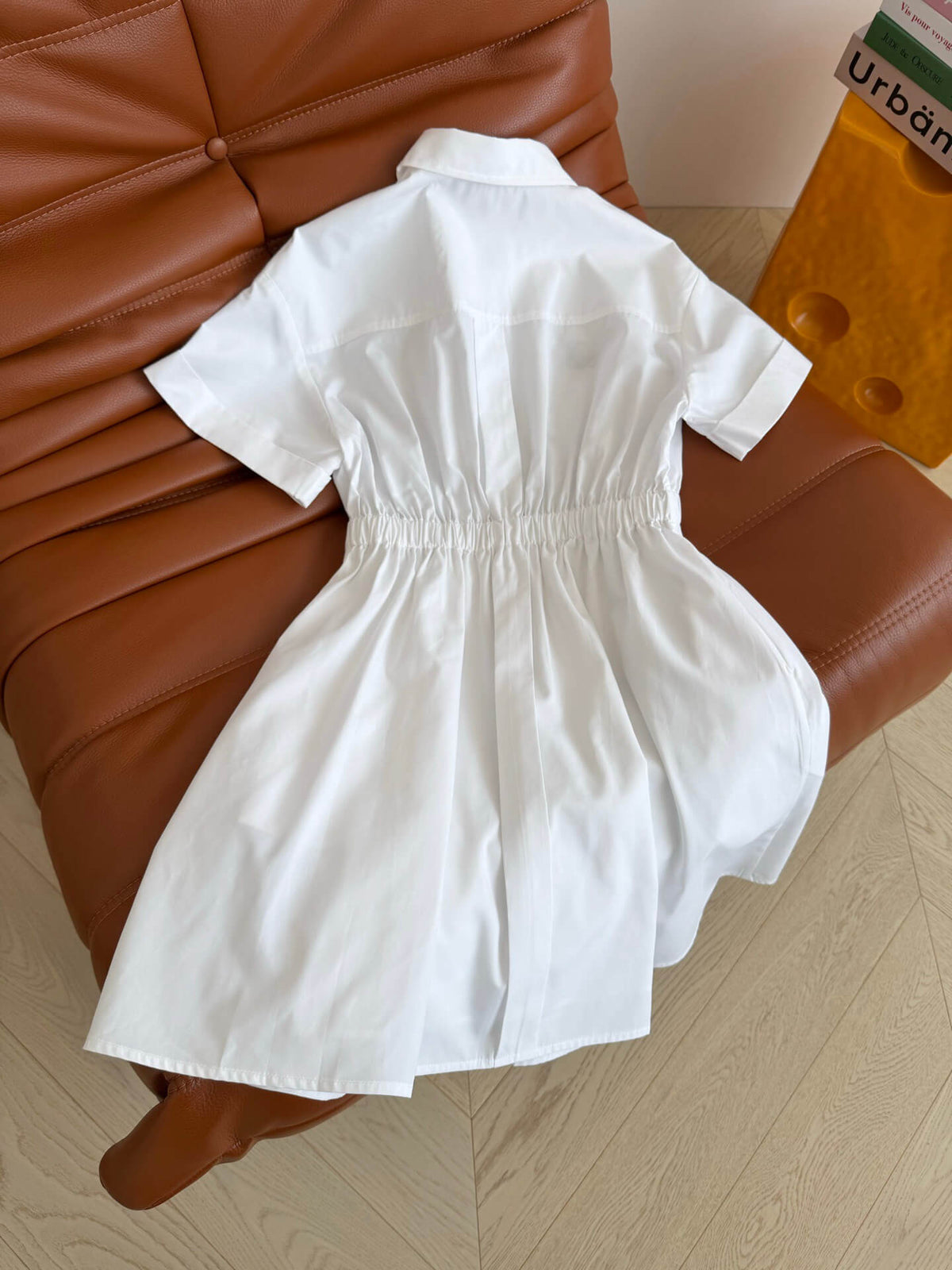 Breasted Metal Buckle Mini Dress