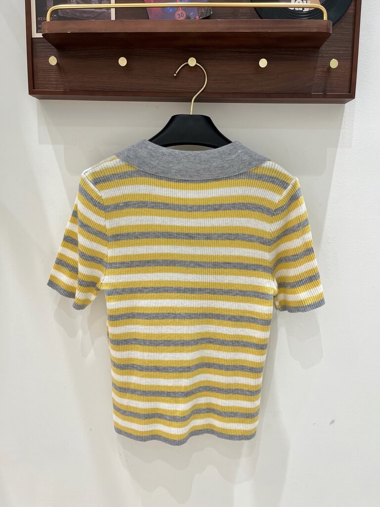 Stripe Polo Knit Vest And Top